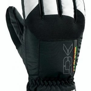 Dakine Scout Short Glove rasta