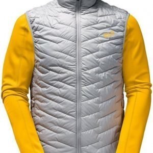 Jack Wolfskin Icy Trail Alu XXL