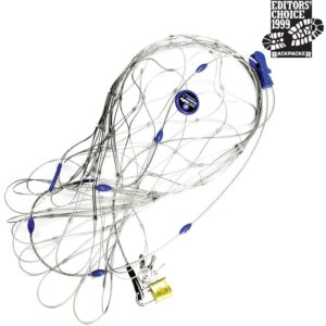 Pacsafe 85